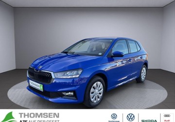 Skoda Fabia 1.100 km 17.890 &euro; Kropp 24848