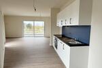 Terrassenwohnung Schleswig - 2 Zimmer, 64 m&sup2;, 1.182&euro; | Angebot:25805778