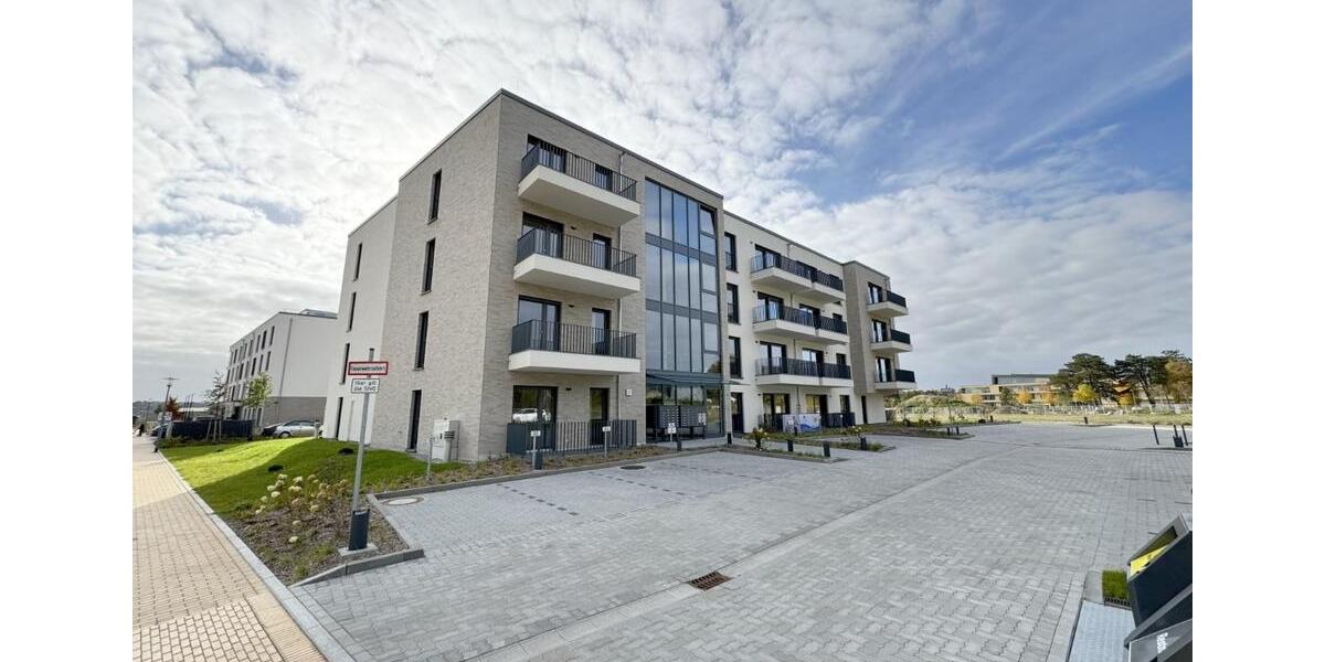 Terrassenwohnung Schleswig - 2 Zimmer, 64 m&sup2;, 1.182&euro; | Angebot:25805778
