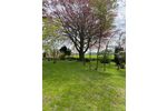 Idyllisch -ländlich,dennoch zentral in Satrup - Appartement Mittelangeln Alt Rehberg | Angebot:26633787